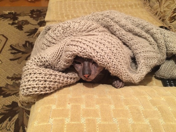 Кудеяр мёрзнет