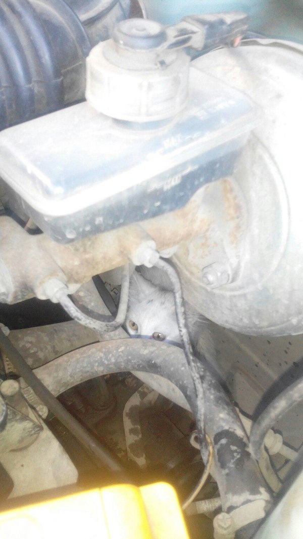 Доброе утро :)