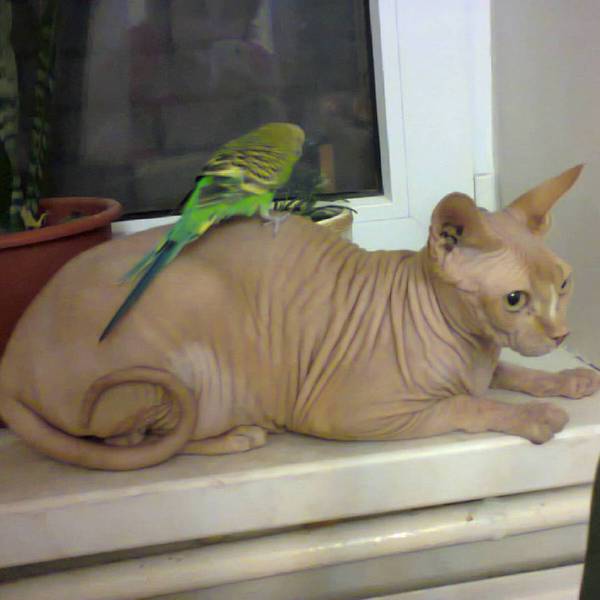 ������� ������ � �������. �������