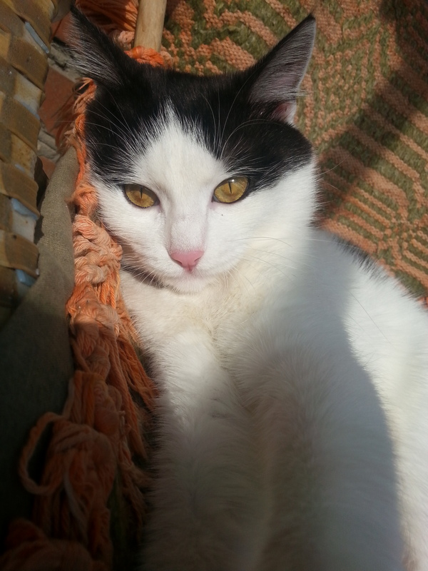 ������� ������� � ����� :)