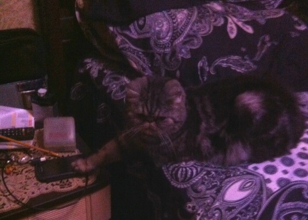 ���, �� �� ������ �� ������������