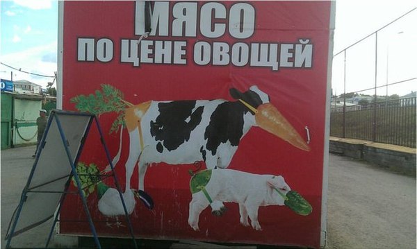 � ����� �� ���� ����..