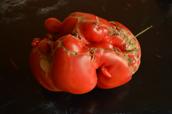 Сбор урожая...