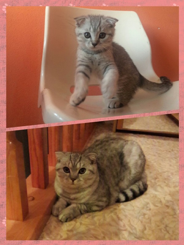 ���������������