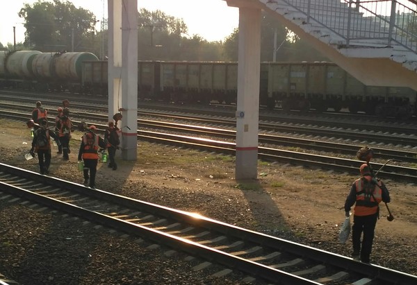 Команда по квиддичу