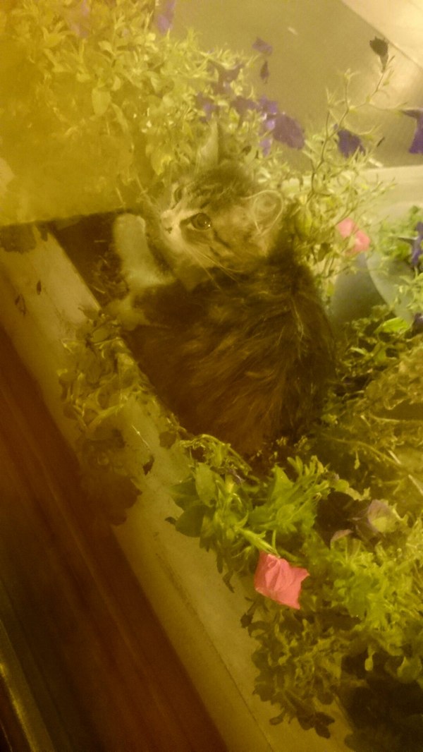 �������� ������