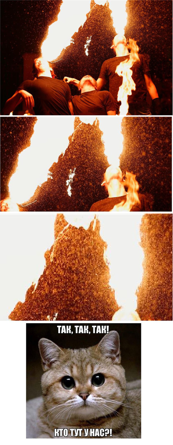 Огненный кот