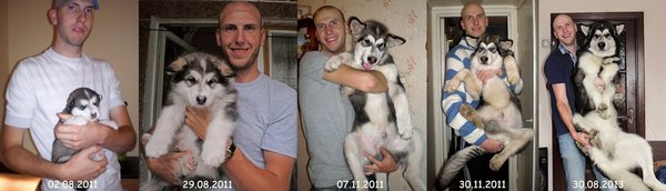 �� ����� ���� - �����