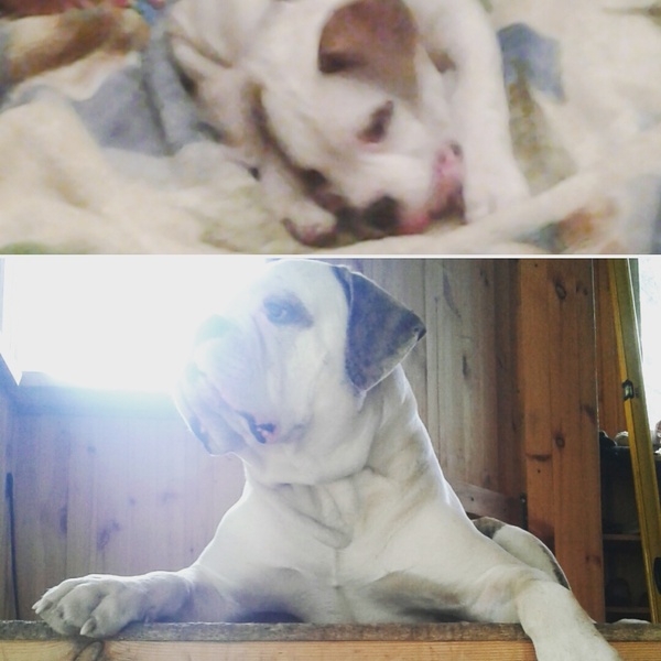 ���� �� �� �������?!