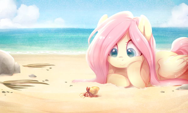 Beach My Little Pony, Fluttershy, Jumblehorse