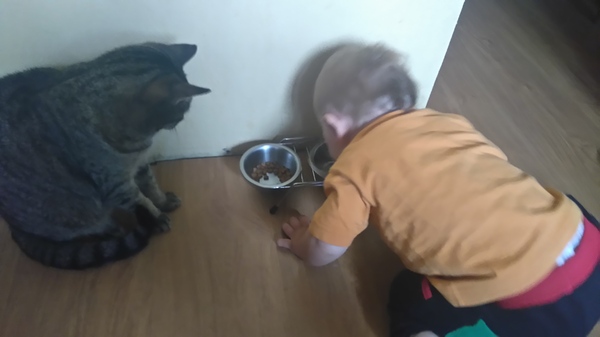 Что за наглость?