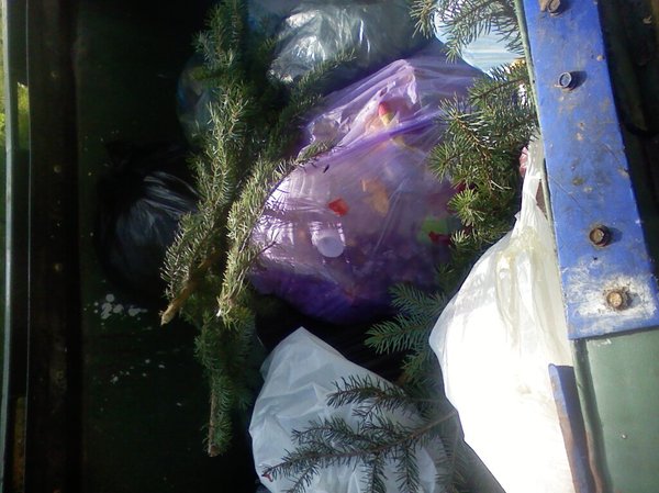 ��� ���� ������