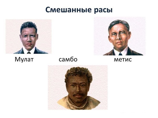 какая раса самая многочисленная на земле. Смотреть фото какая раса самая многочисленная на земле. Смотреть картинку какая раса самая многочисленная на земле. Картинка про какая раса самая многочисленная на земле. Фото какая раса самая многочисленная на земле