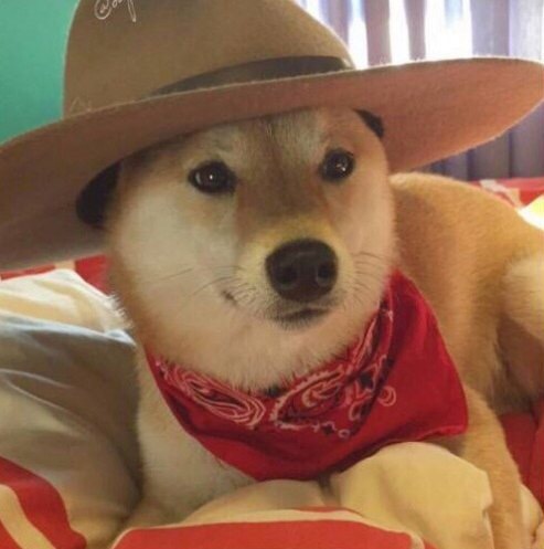 Wow. Such High Noon.