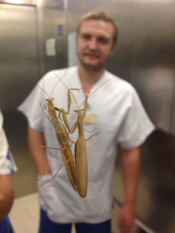 Новые пациенты | Пикабу