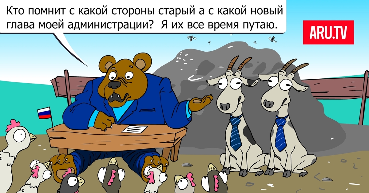 Про глав. Шутки про администрацию. Администрация прикол. Администрация карикатура. Анекдоты про администрацию.