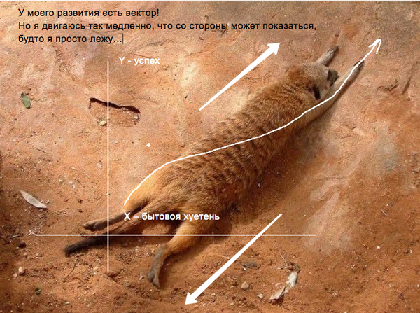 ������ ��������