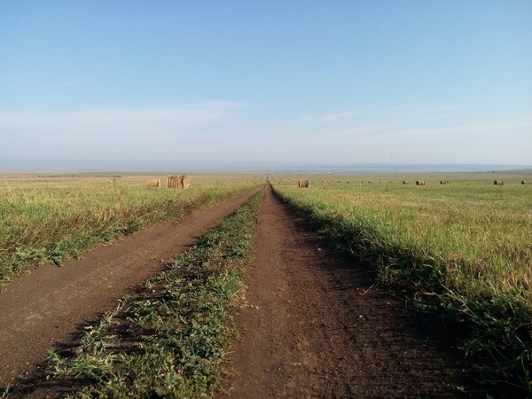 �������� ����