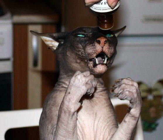 ��� ��� �����, ��� ����� ���� ���� �������