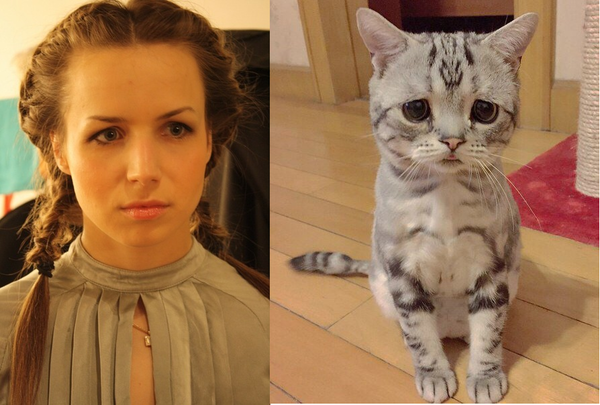 �������� ������