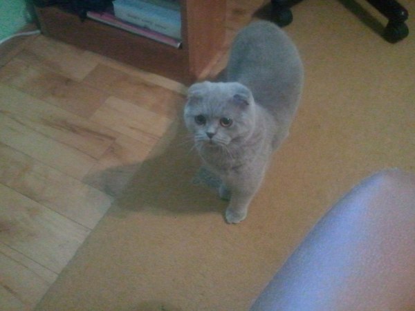 ����� ����� ��� ��������� �����