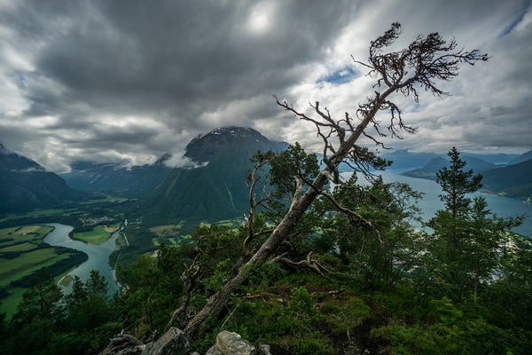 Another piece of Norway :) - My, Norway, Nforester, Sony a6000, Fjords, Hiking, Hiking