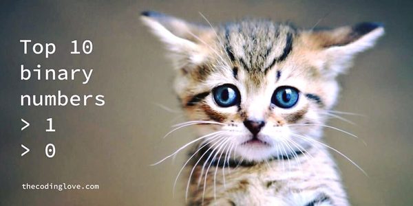 ТОП 10 номеров двоичной системы счисления