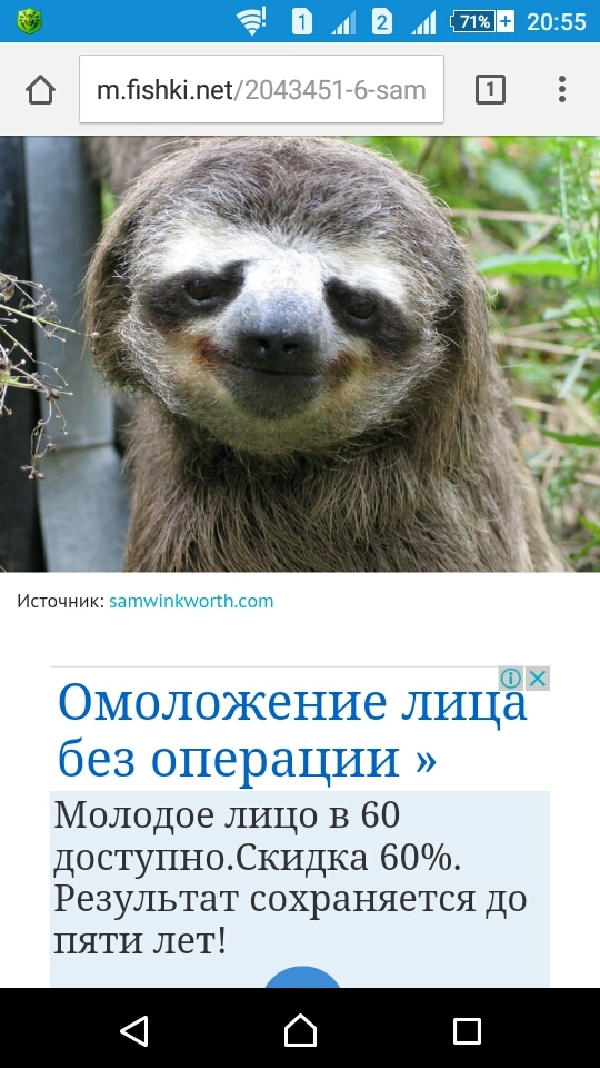 When advertising is in the subject. - My, Sloth, Advertising, Rejuvenation