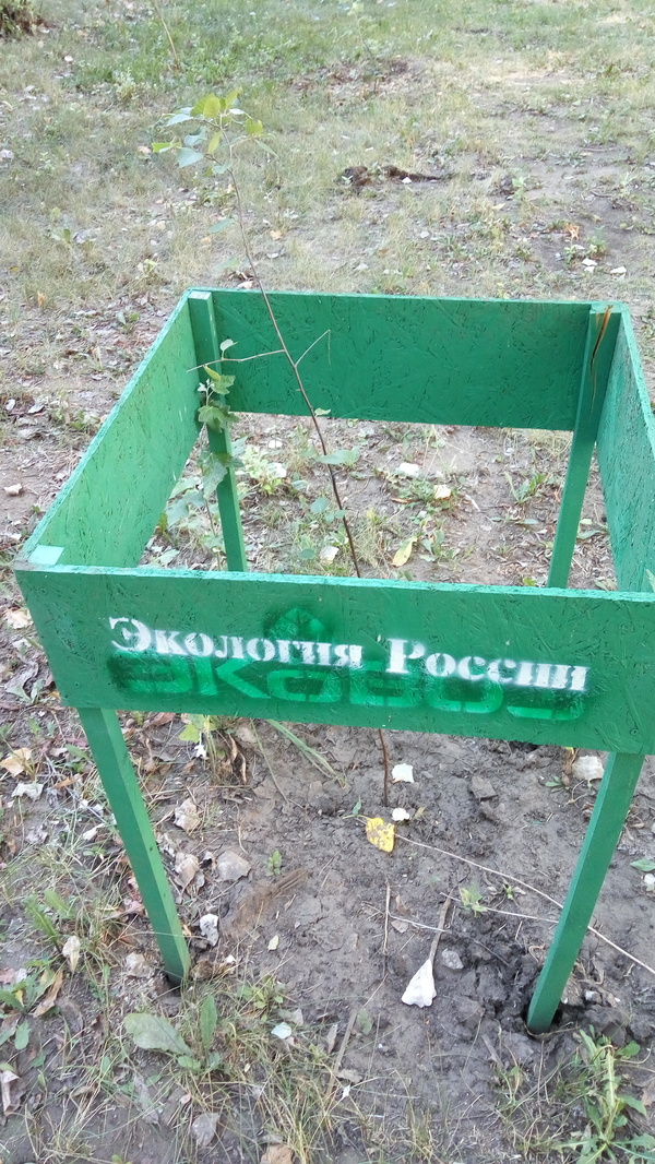    ... , 
