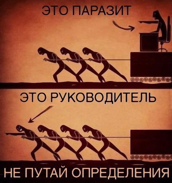 Борьба с паразитизмом как форма паразитизма - Социология, Паразиты, Длиннопост