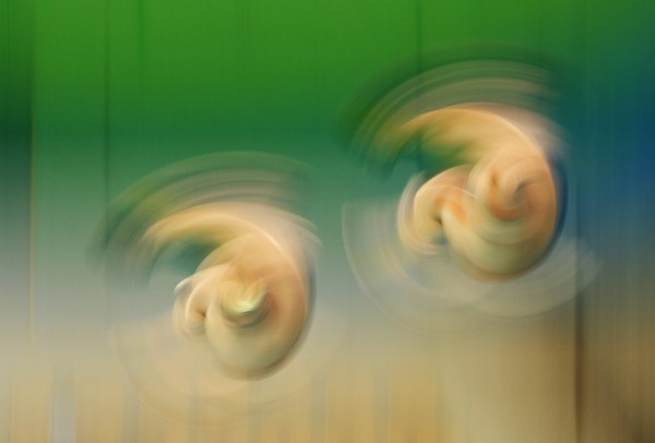 Серебряные призеры Олимпиады по синхронным прыжкам в воду с высоты 10 метров Дэвид Боудиа и Стил Джонсон, Рио-де-Жанейро, Бразилия.