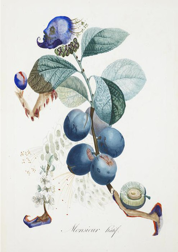 Salvador Dali - Salvador Dali, Plants, Art, Psychedelic, Longpost