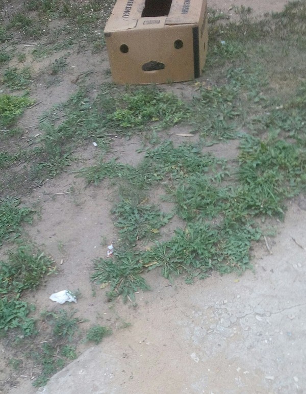 This box looks a little scary - My, Pareidolia, Box