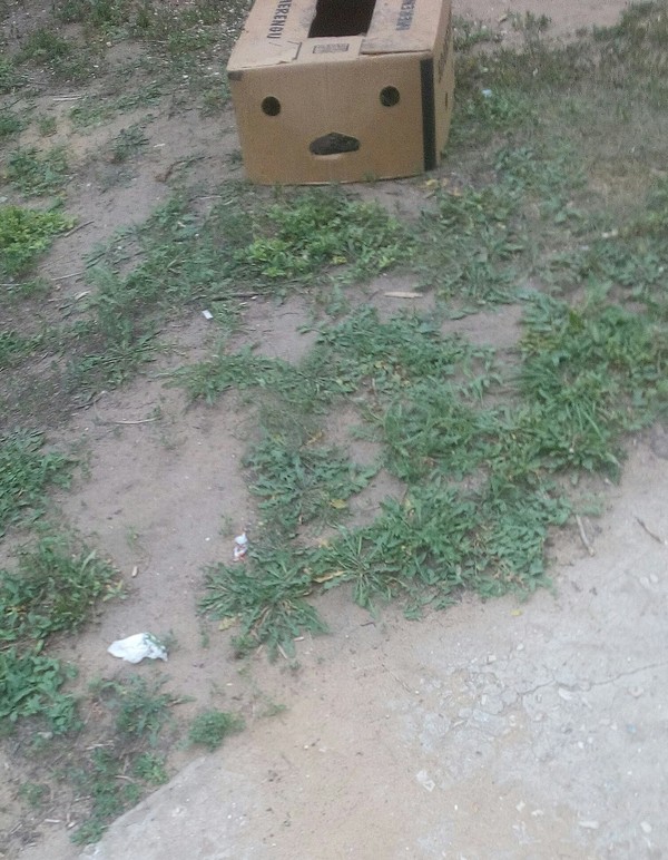 This box looks a little scary - Box, Pareidolia, My