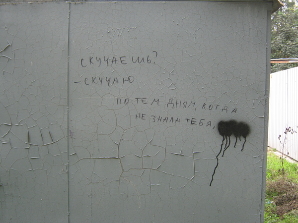 И ведь не поленилась...