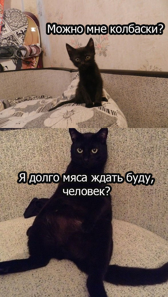 On the wave it was and became) - cat, Black cat, It Was-It Was