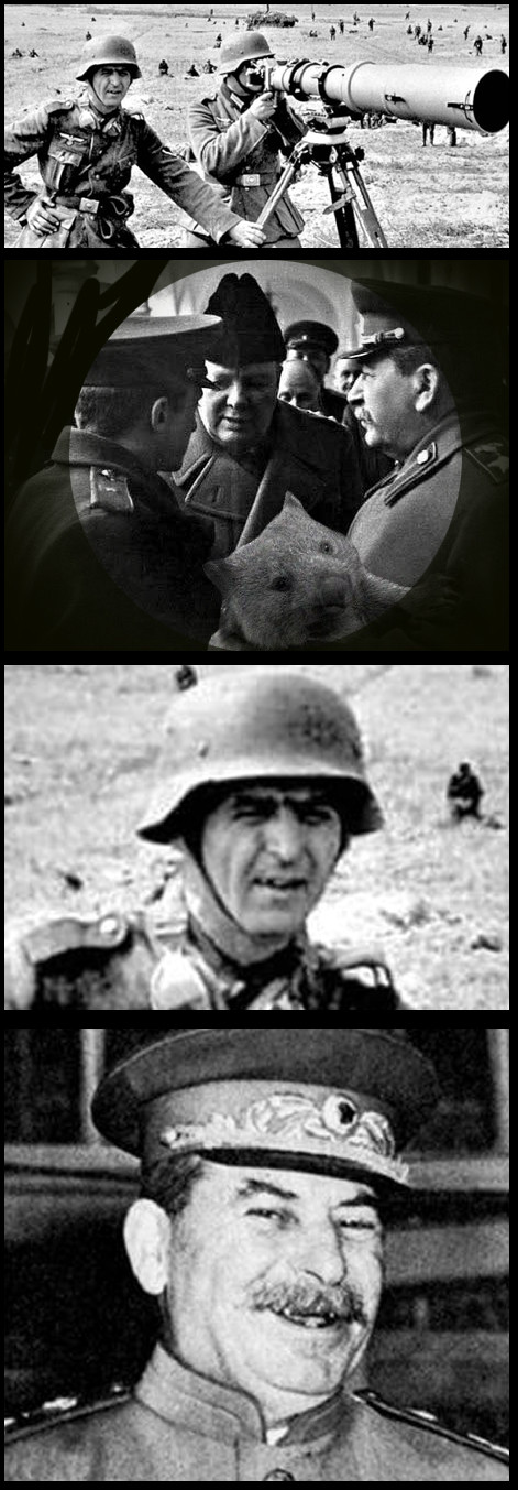 Stalin and Wombat - My, Stalin and Wombat, Germans