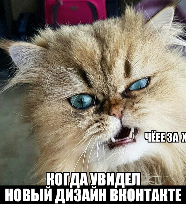    ,   ,        , ,  