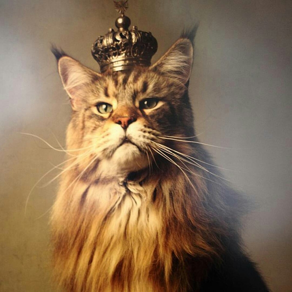 His Majesty the Cat! - Box and cat, cat, Crown, 