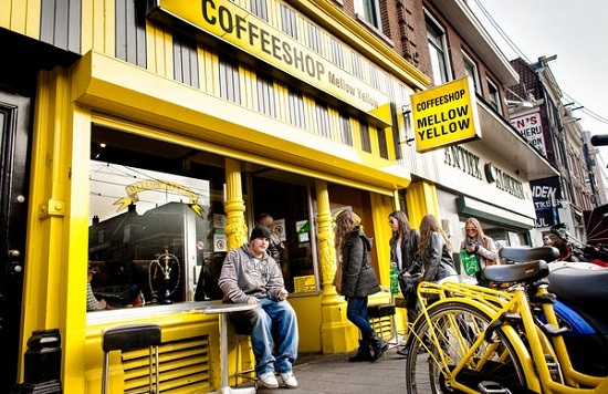 5 myths about cannabis and coffeeshops. - Netherlands, Coffeeshop, Longpost, Netherlands (Holland)