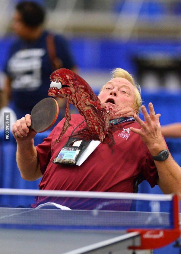 Photographs of a table tennis player - Fotozhaba, Tennis, Sport, Longpost, 9GAG