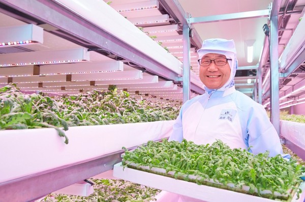 Futuristic Japanese vertical farm produces 12,000 heads of lettuce per day - Salad, Сельское хозяйство, Farm, Vertical Truss, Japan