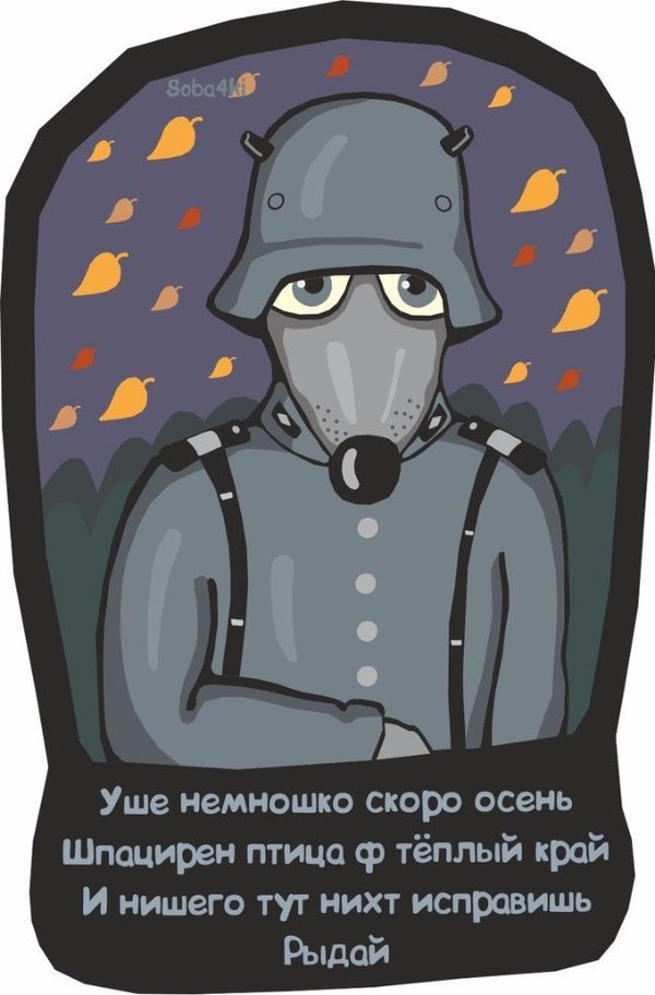 ����� �����....