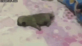       !)