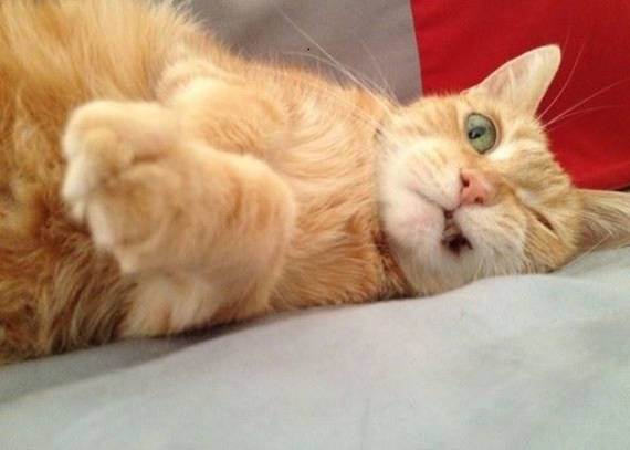 ������� �����!