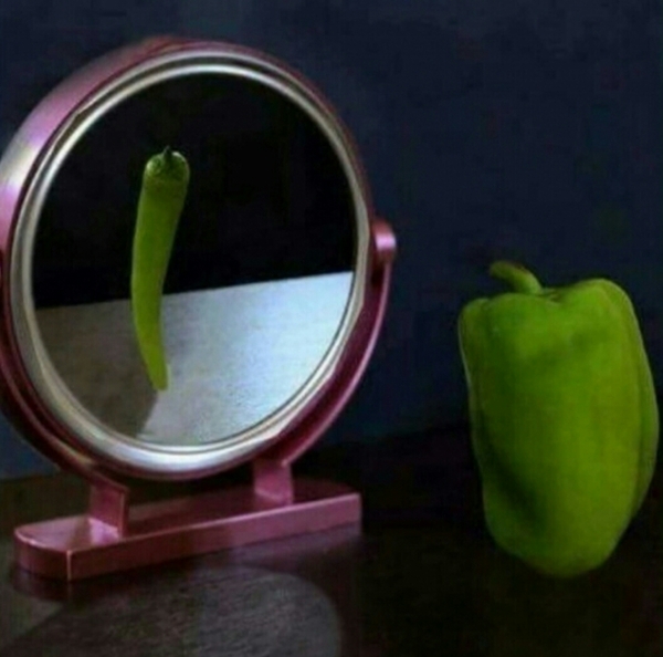 ���� ����� ������� ��������