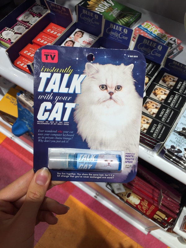 Instantly talk to your cat. - My, cat, Travels, Score, Products, , Humor, USA