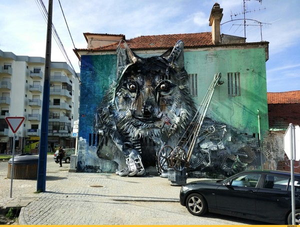Street art - Street art, Wolf, Garbage, Оригинально, Joyreactor
