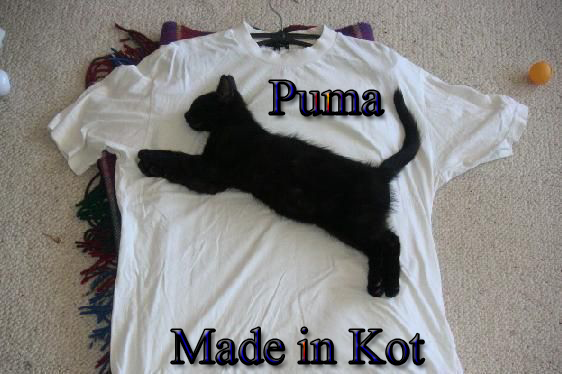 PUMA - cat, Cloth