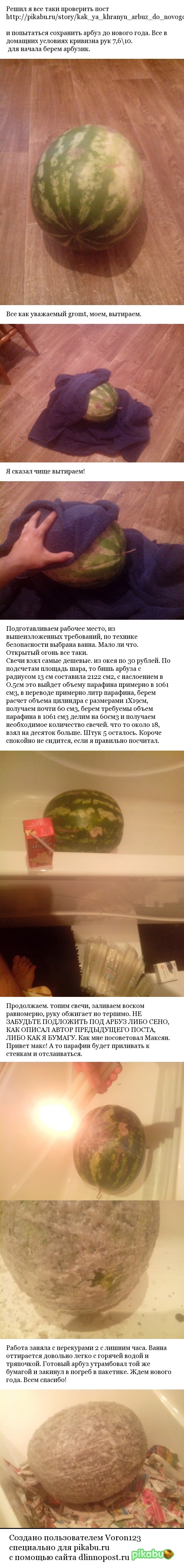 Decided to keep the watermelon too. - My, Watermelon, Preservatives, Longpost, Проверка